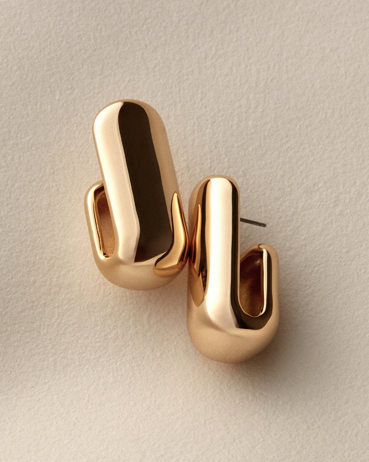Large Leon Earrings